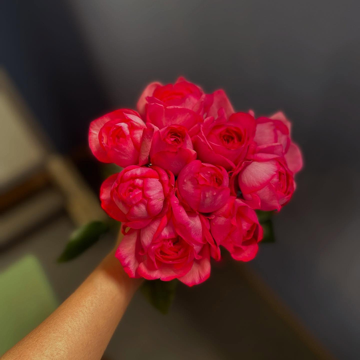 画像1008