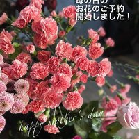 画像1014