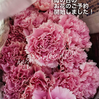 画像1019