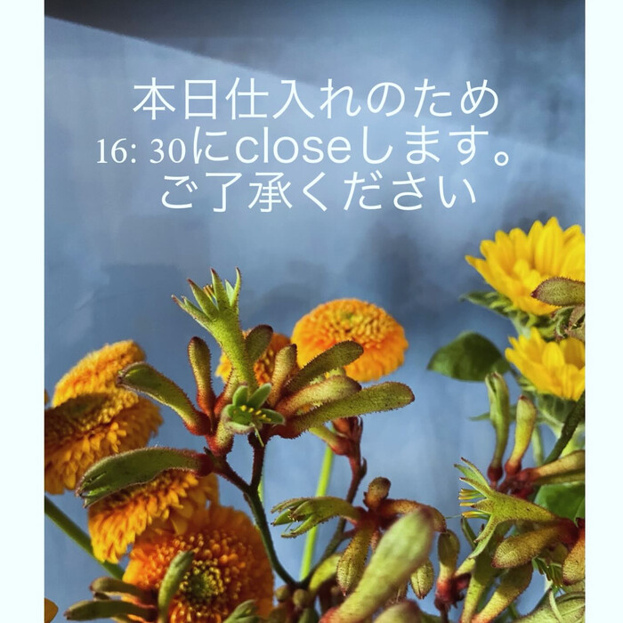 画像1064
