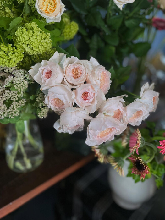 画像1127