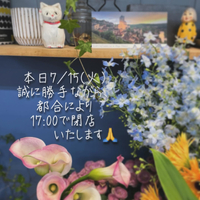 画像1174
