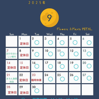 画像1245