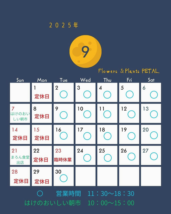 画像1245