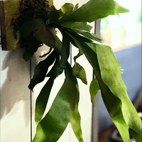 画像1276