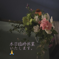 画像1278