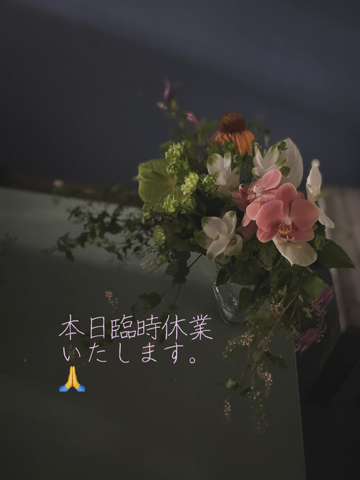 画像1278