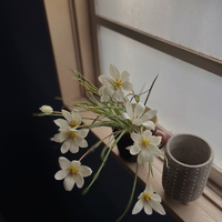 画像1506