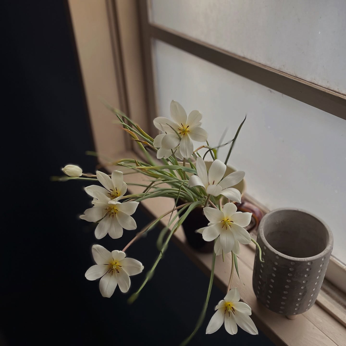 画像1506