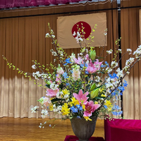 画像1539