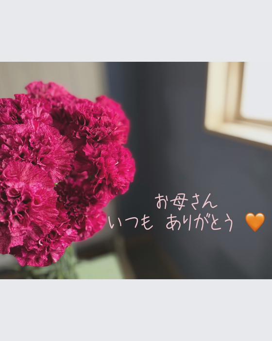 画像1549