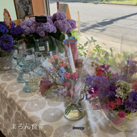画像1557