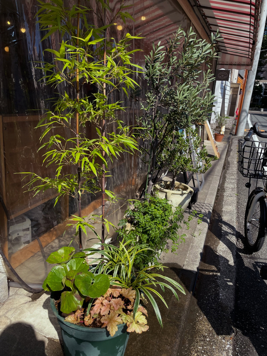 画像1682