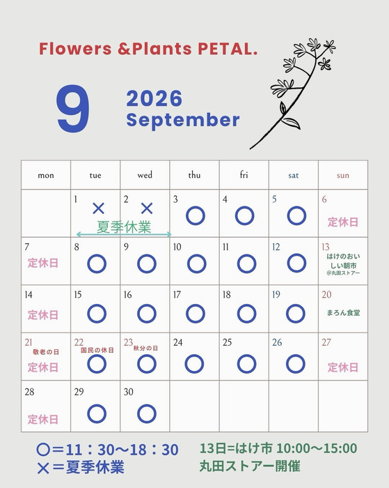 画像1709