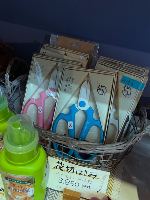 画像1744