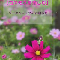 画像1763