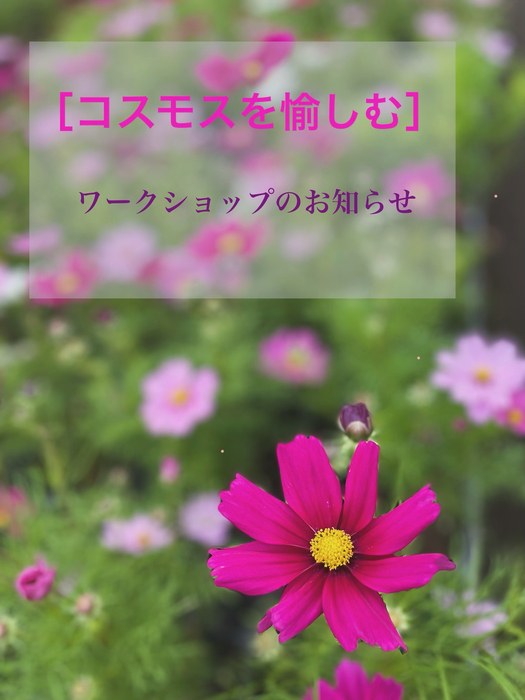 画像1763