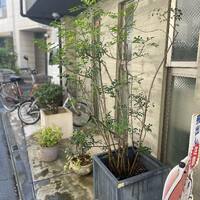 画像237