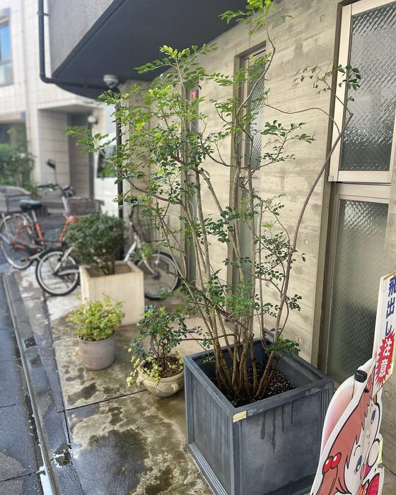 画像237