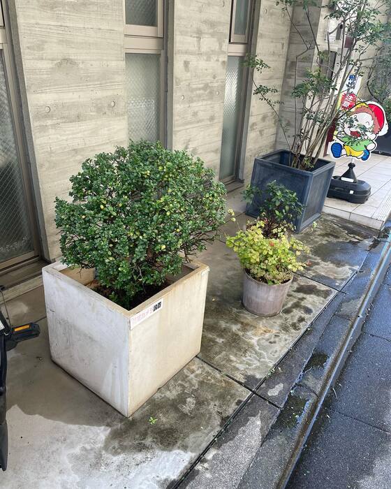画像238