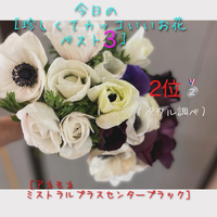 画像462