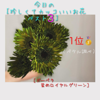 画像463
