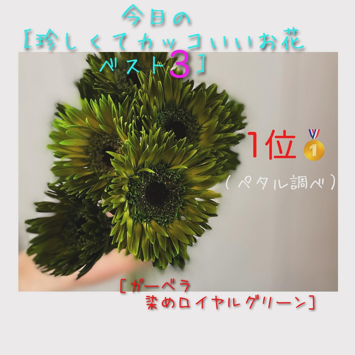 画像463