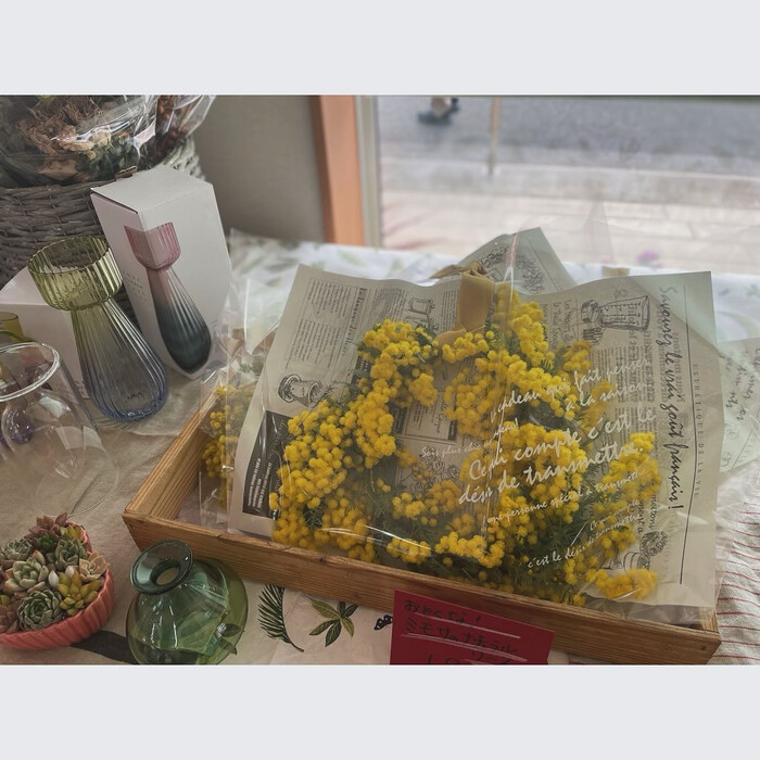 画像474