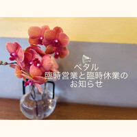 画像491