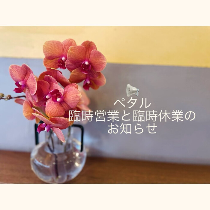 画像491