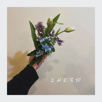 画像507