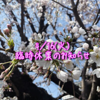 画像537