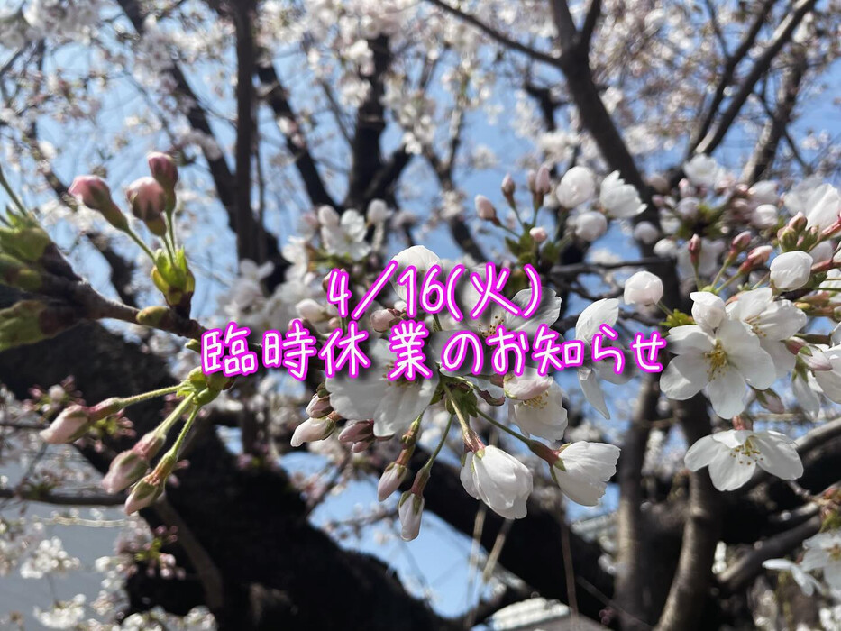 画像537