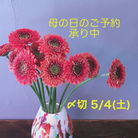 画像539