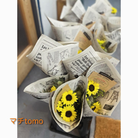 画像702