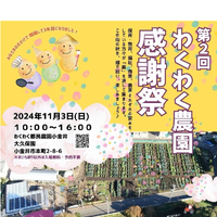 画像838