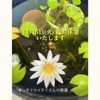 画像845
