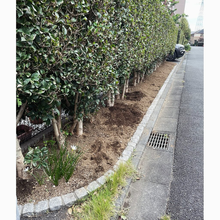 画像863