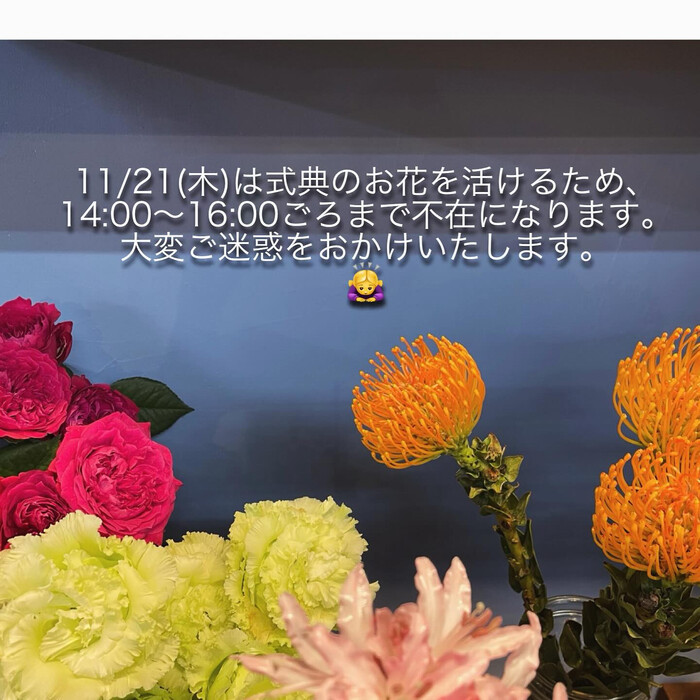 画像869