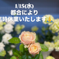 画像904