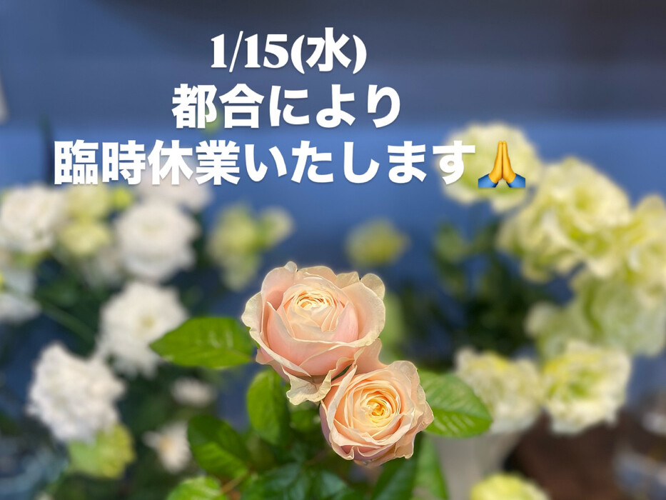 画像904