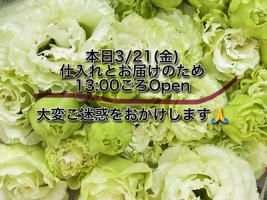 画像995